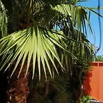 Tra Cielo E Sabbia 2 San Vito Lo Capo